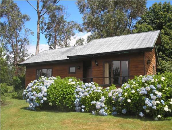 Las Juntas Ecolodge Puyehue Exteriör bild
